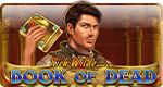Игровые автоматы Book of Dead онлайн
